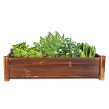 Load image into Gallery viewer, 26"x13"x6" Raised Garden Bed Outdoor Solid Wood Planter fr Vegetable/Flower/Herb