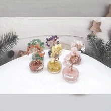 画像をギャラリービューアに読み込む, alishop:5eda4ddd5d00