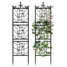 Load image into Gallery viewer, 2 Pack Rustproof Metal Garden Trellis for Climbing Plants Rose for Outdoor Patio
