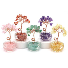 Charger l'image dans la galerie, alishop:8af57001b636
